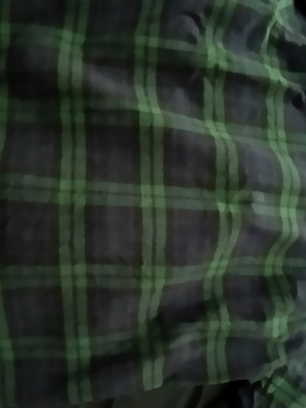 J. Crew new w/o tags Large Slim Fit Men’s Flannel - Green & Navy Plaid